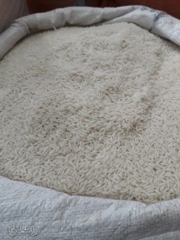 خرید برنج هاشمی گیلان با ضمانت