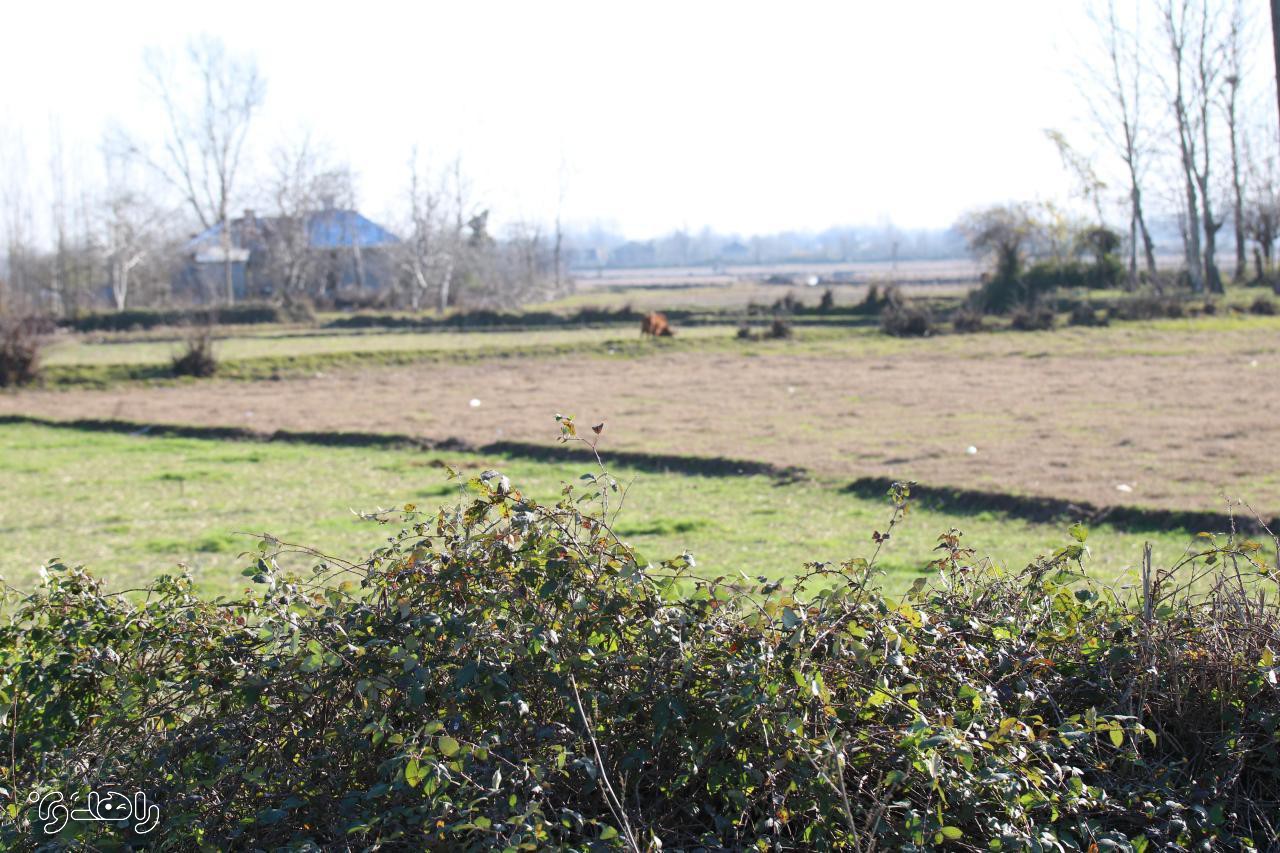 رویداد پاکسازی روستای گیلوا و کرباسده