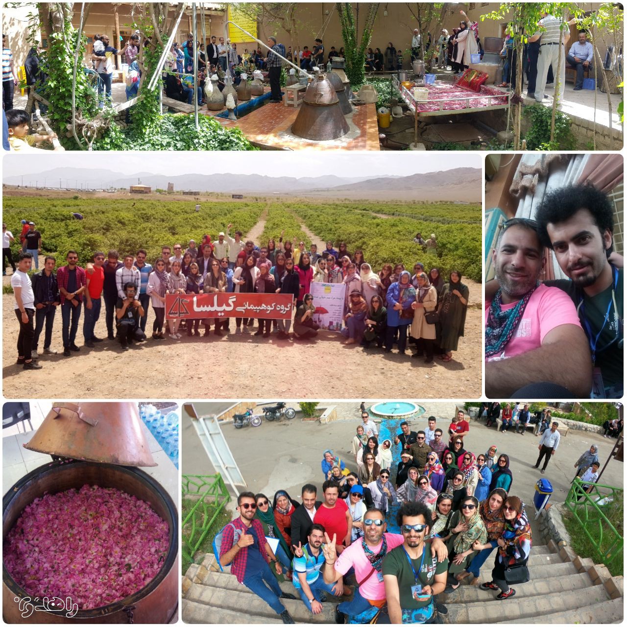 گلاب گیری کاشان