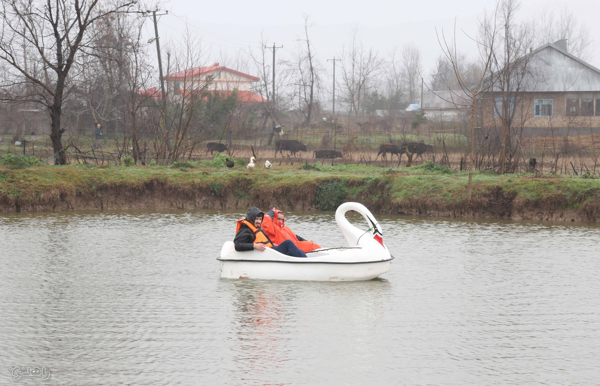 تور بوم گردی راهدون