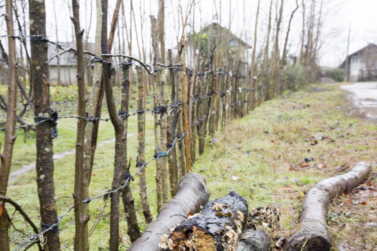 تور بوم گردی راهدون