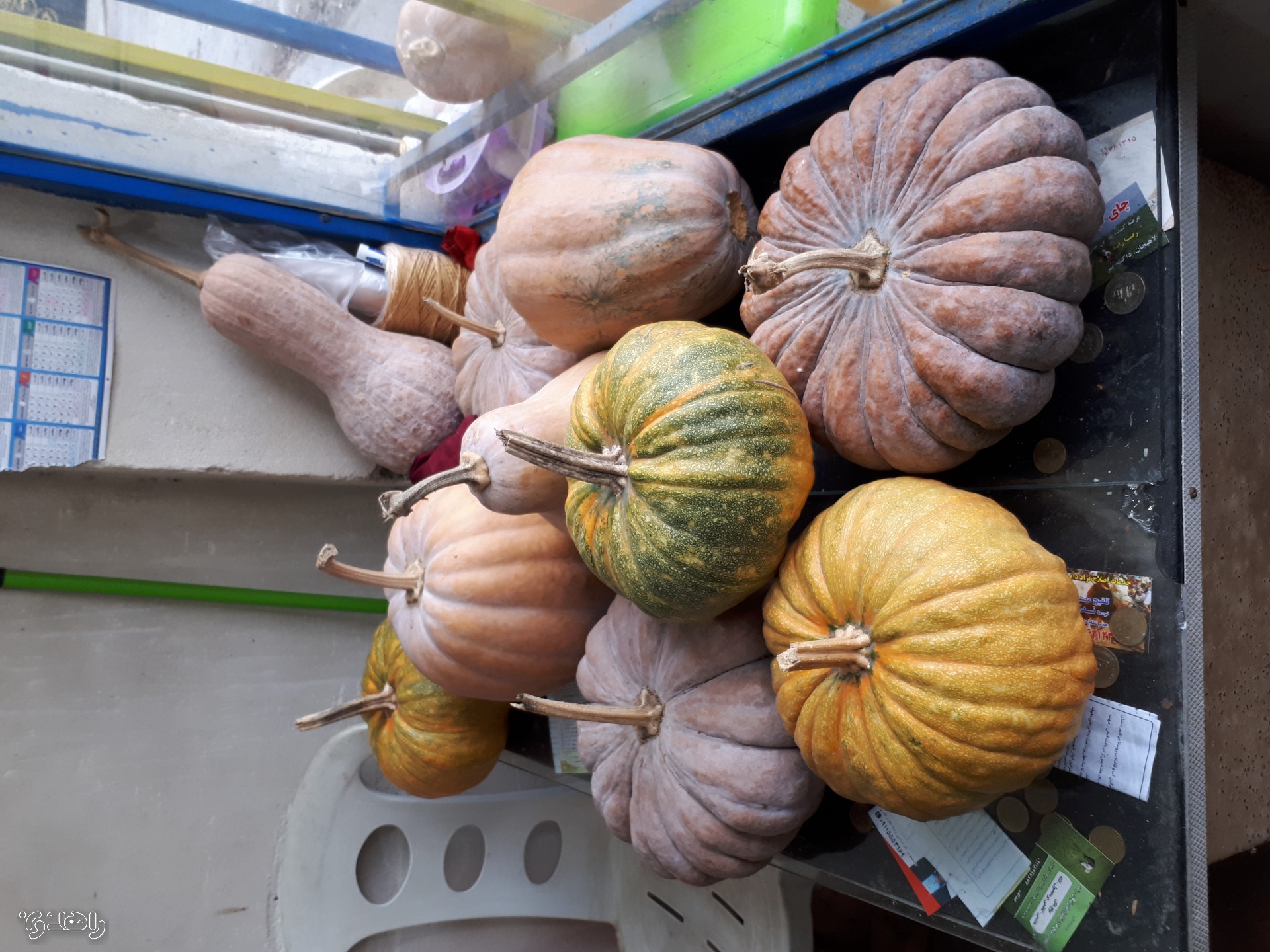 تور بوم گردی راهدون