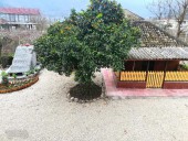 اقامتگاه بوم گردی حاج حسین پرویزی- کلبه چوبی