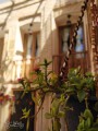 اقامتگاه بوم گردی آنا- اتاق 101