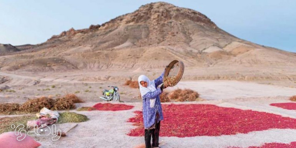 اقامتگاه بوم گردی زرشکده خراسان جنوبی